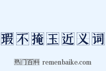 瑕不掩玉近义词是什么意思的图片